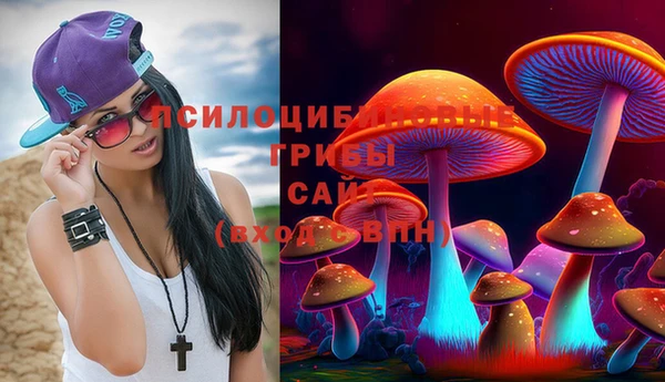скорость Абаза