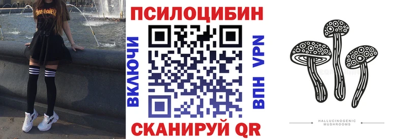 Галлюциногенные грибы мицелий  дарнет шоп  Лодейное Поле 