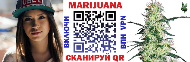 Конопля планчик  Лодейное Поле 